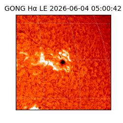 gong - 2026-06-04T05:00:42