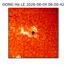 gong - 2026-06-04T06:00:42