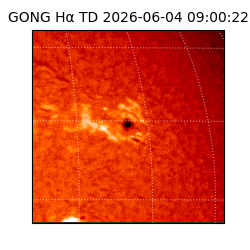 gong - 2026-06-04T09:00:22