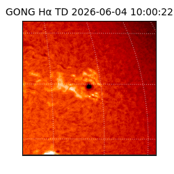gong - 2026-06-04T10:00:22