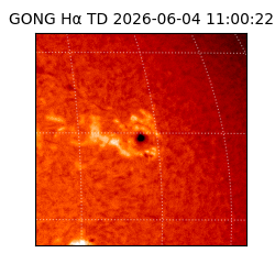 gong - 2026-06-04T11:00:22