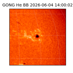 gong - 2026-06-04T14:00:02