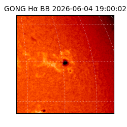 gong - 2026-06-04T19:00:02