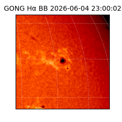 gong - 2026-06-04T23:00:02