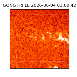 gong - 2026-06-04T01:00:42