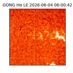 gong - 2026-06-04T06:00:42
