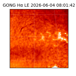 gong - 2026-06-04T08:01:42