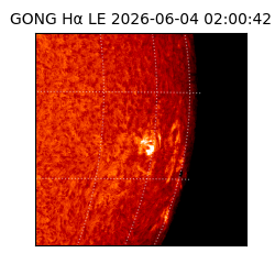 gong - 2026-06-04T02:00:42