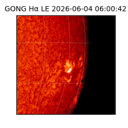 gong - 2026-06-04T06:00:42