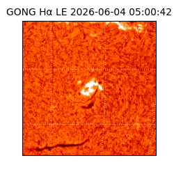 gong - 2026-06-04T05:00:42