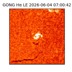 gong - 2026-06-04T07:00:42