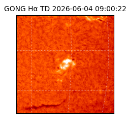 gong - 2026-06-04T09:00:22