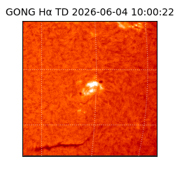 gong - 2026-06-04T10:00:22