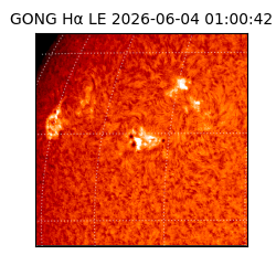 gong - 2026-06-04T01:00:42