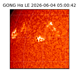 gong - 2026-06-04T05:00:42