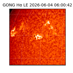 gong - 2026-06-04T06:00:42