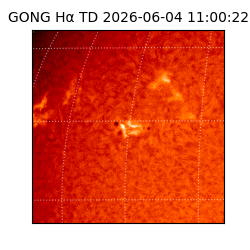 gong - 2026-06-04T11:00:22