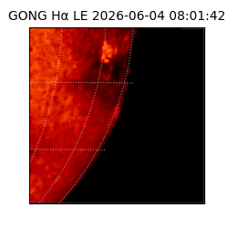 gong - 2026-06-04T08:01:42