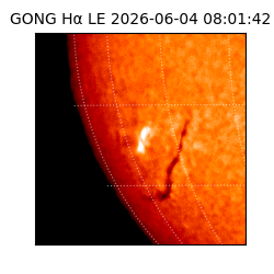 gong - 2026-06-04T08:01:42