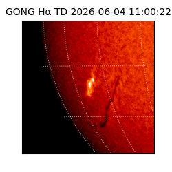 gong - 2026-06-04T11:00:22