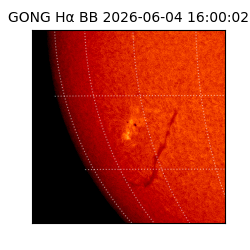gong - 2026-06-04T16:00:02