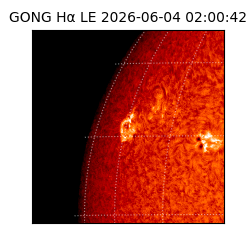 gong - 2026-06-04T02:00:42