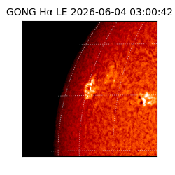 gong - 2026-06-04T03:00:42