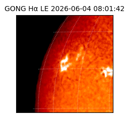 gong - 2026-06-04T08:01:42