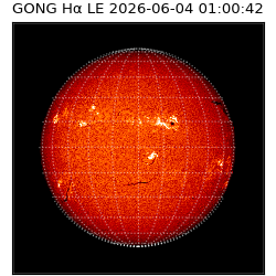 gong - 2026-06-04T01:00:42