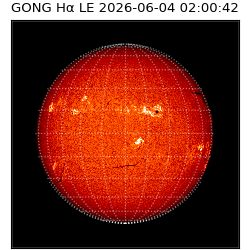 gong - 2026-06-04T02:00:42