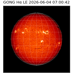 gong - 2026-06-04T07:00:42