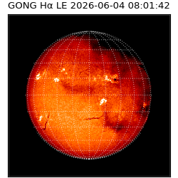 gong - 2026-06-04T08:01:42