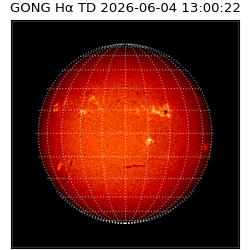 gong - 2026-06-04T13:00:22