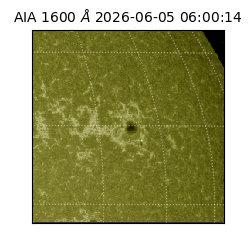 saia - 2026-06-05T06:00:14.123000