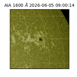 saia - 2026-06-05T09:00:14.123000
