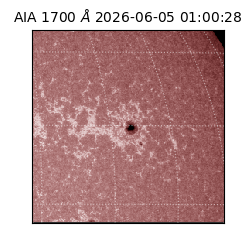 saia - 2026-06-05T01:00:28.725000