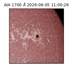 saia - 2026-06-05T11:00:28.716000