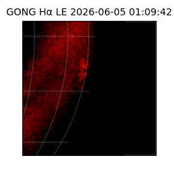 gong - 2026-06-05T01:09:42