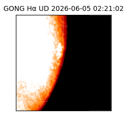 gong - 2026-06-05T02:21:02