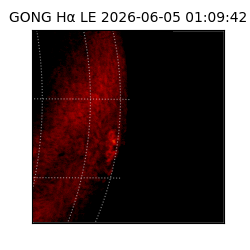 gong - 2026-06-05T01:09:42