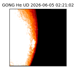 gong - 2026-06-05T02:21:02