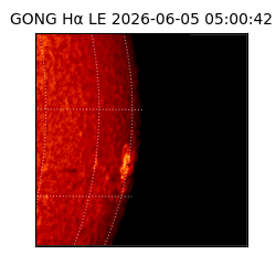 gong - 2026-06-05T05:00:42