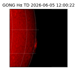 gong - 2026-06-05T12:00:22
