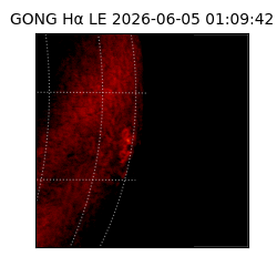 gong - 2026-06-05T01:09:42
