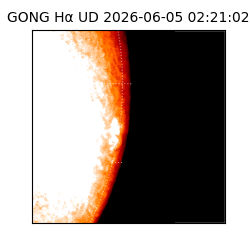 gong - 2026-06-05T02:21:02