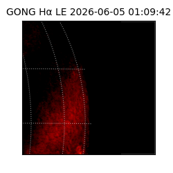 gong - 2026-06-05T01:09:42