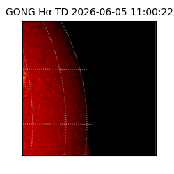 gong - 2026-06-05T11:00:22