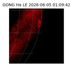gong - 2026-06-05T01:09:42