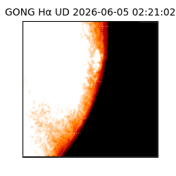 gong - 2026-06-05T02:21:02
