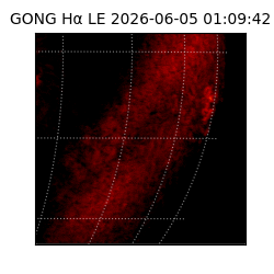 gong - 2026-06-05T01:09:42